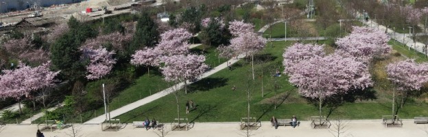 Le parc Clichy-Batignolles au printemps 2014