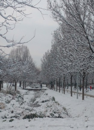 L'hiver au parc Martin Luther-King