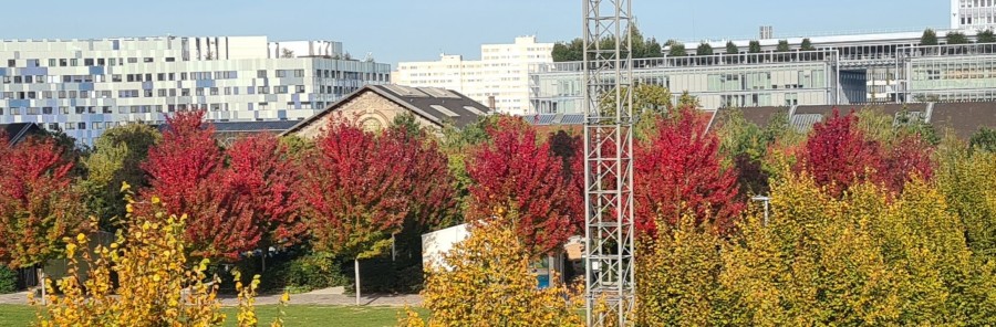 La Cité du Thêatre à l'automne.