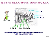 07-Comment_nommer_Photos-Videos-Musiques-Didier_Favre_didierfavre-P10007.htm